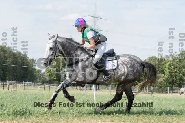 Vielseitigkeitsturnier ZRuFV von Lützow Hamminkeln