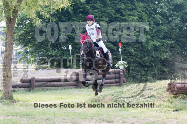 Vielseitigkeitsturnier ZRFV von Lützow Hamminkeln