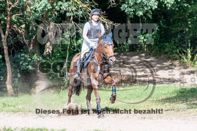 Late-Entry-Vielseitigkeit Langenfeld (11.+13./14.06.2020)