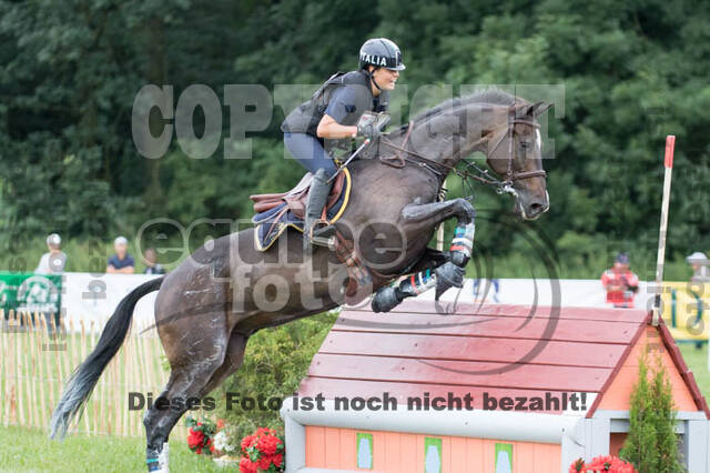 FEI European Championship