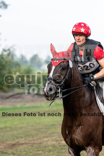 De Peelbergen (August 2020)