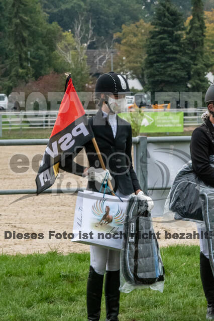 Goldene Schärpe 2020 - Pferde