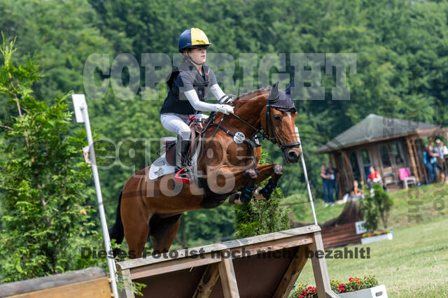 Goldene Schärpe 2021 - Ponys