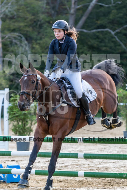 RFV Dinslaken-Hiesfeld (Herbstturnier)