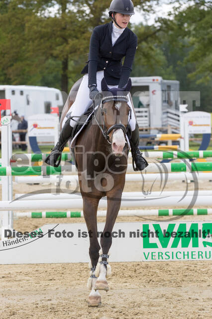 Sterne über Münster 2019 - CCI***S