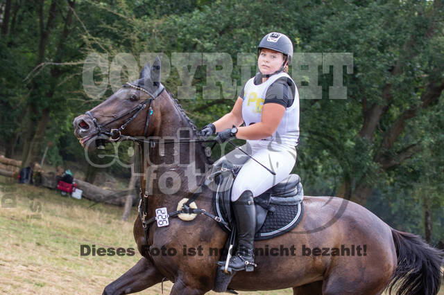 Late-Entry Vielseitigkeit Hamminkeln/Wesel (01.+02.08.2020)