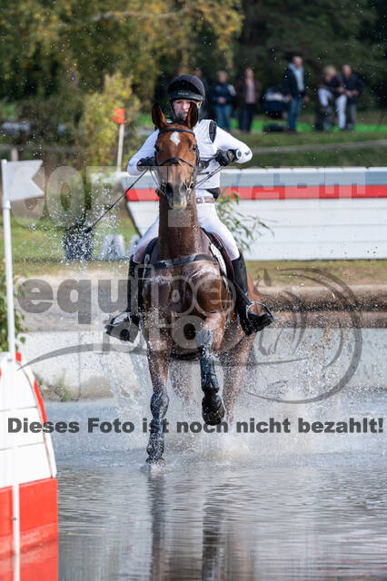 Deutsche Meisterschaft Vielseitigkeit (Luhmühlen)