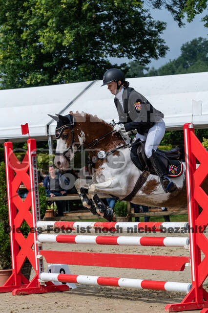 Goldene Schärpe 2021 - Ponys