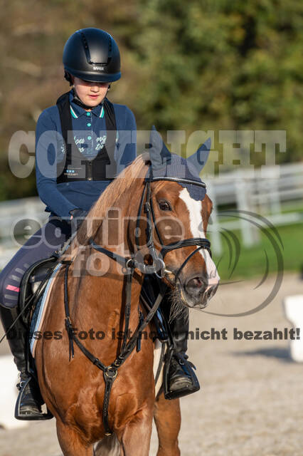 IGV Lehrgang der Sieger der Cups mit Frank Ostholt