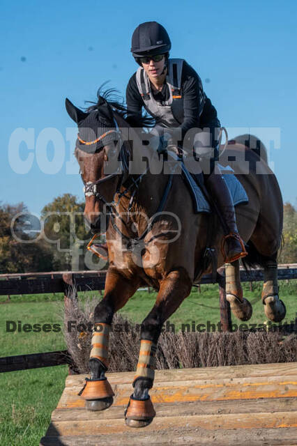 Vielseitigkeitslehrgang mit Jürg Kurbel (9.+10.11.2019)