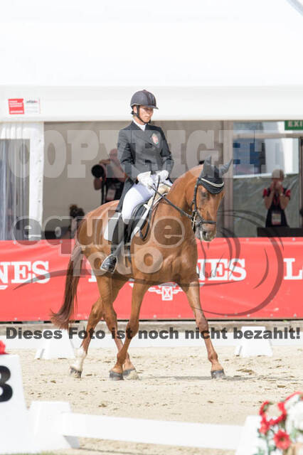 FEI European Championship Eventing 2017