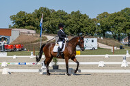 Kronenberg - De Peelbergen (August 2020)
