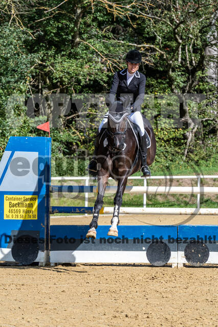 RFV Dinslaken-Hiesfeld (Herbstturnier)