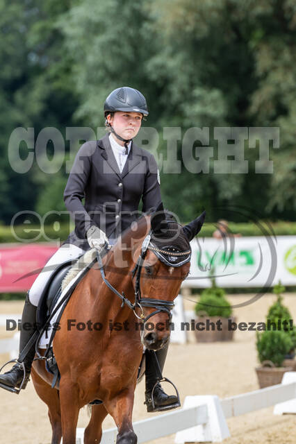 Goldene Schärpe 2021 - Ponys