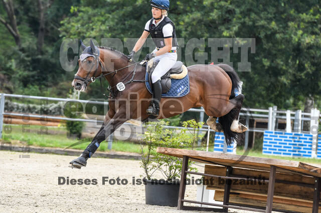 Late-Entry-Vielseitigkeit Langenfeld (11.+13./14.06.2020)