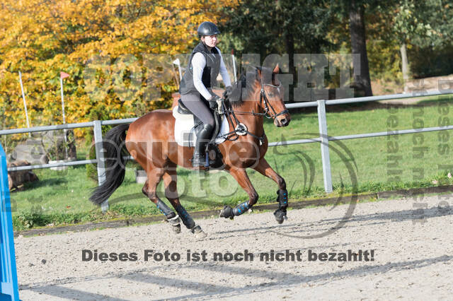 IGV Lehrgang der Sieger der Cups mit Frank Ostholt