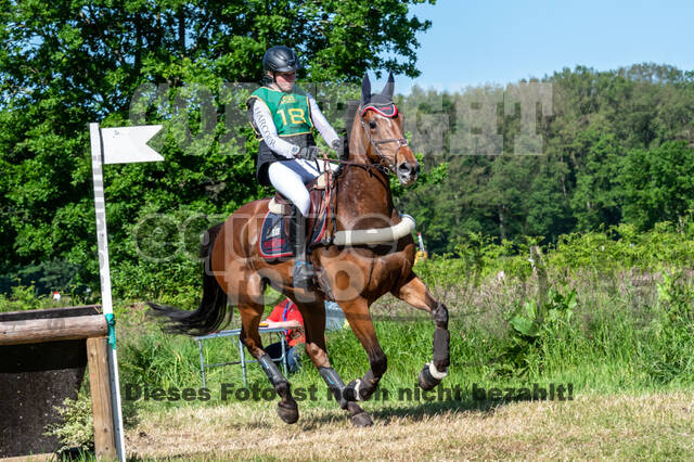 Westerstede Horse Trials (10.-13.06.2021)