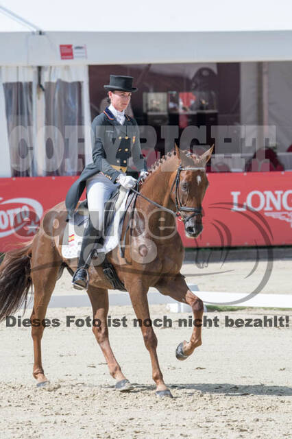 FEI European Championship Eventing 2017