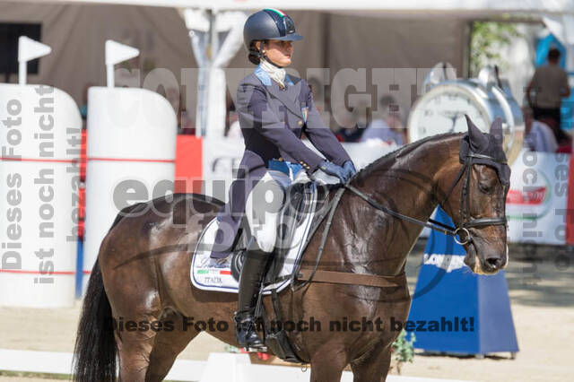 FEI European Championship
