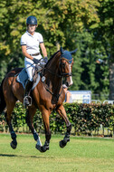 Kronenberg - De Peelbergen (August 2020)