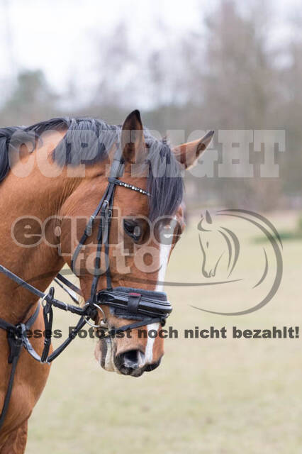 Geländetraining RSV St. Hubertus Wesel Obrighoven