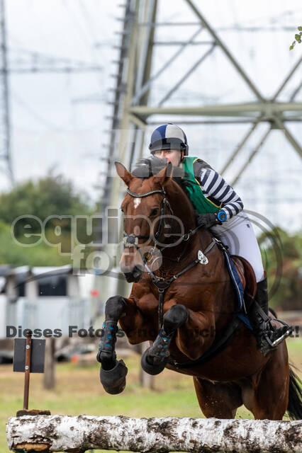 Vielseitigkeit RSV Wesel Obrighoven (26.+27.09.2020)