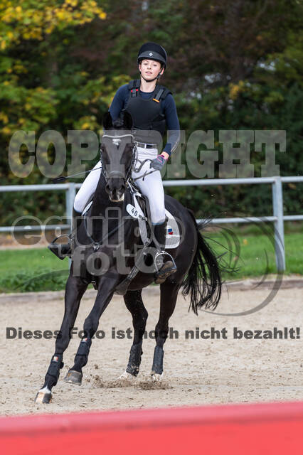 Reiter Schleswig-Holstein