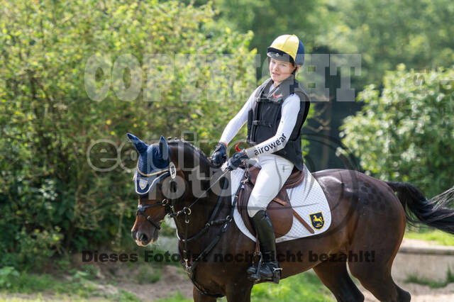 Goldene Schärpe 2021 - Ponys