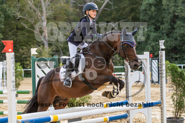 RFV Dinslaken-Hiesfeld (Herbstturnier)