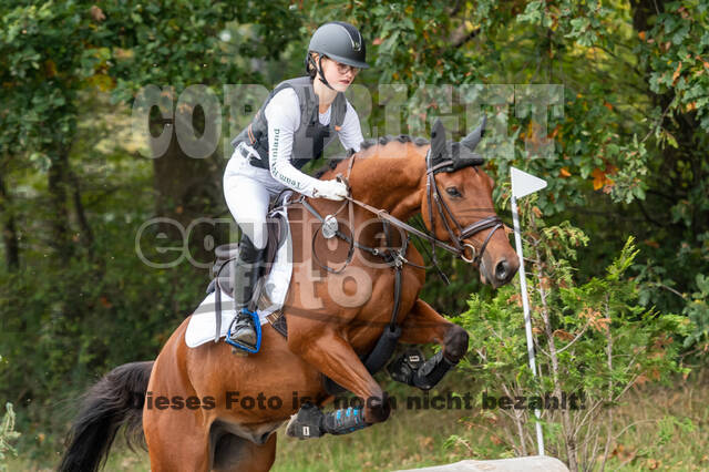 Goldene Schärpe 2020 - Pferde