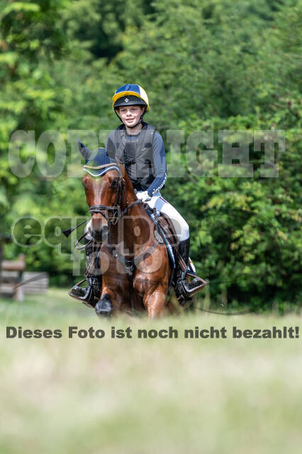 Goldene Schärpe 2021 - Ponys