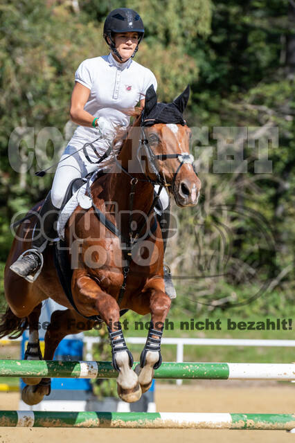 RFV Dinslaken-Hiesfeld (Herbstturnier)