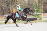 Eventing Langenfeld