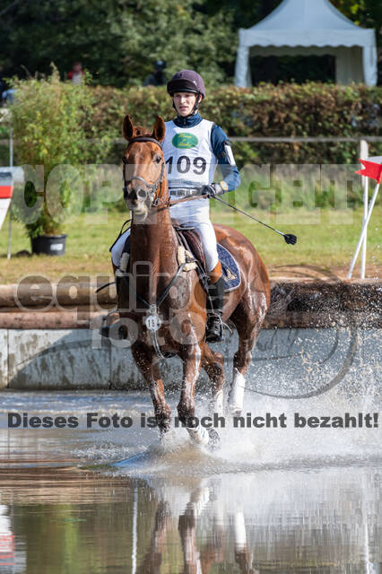 Deutsche Meisterschaft Vielseitigkeit (Luhmühlen)