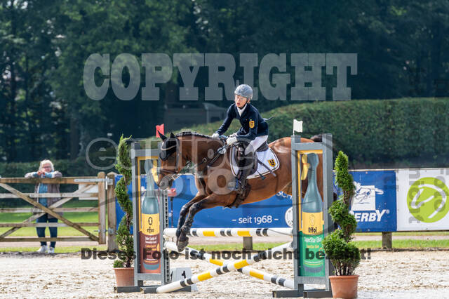 Goldene Schärpe 2021 - Ponys