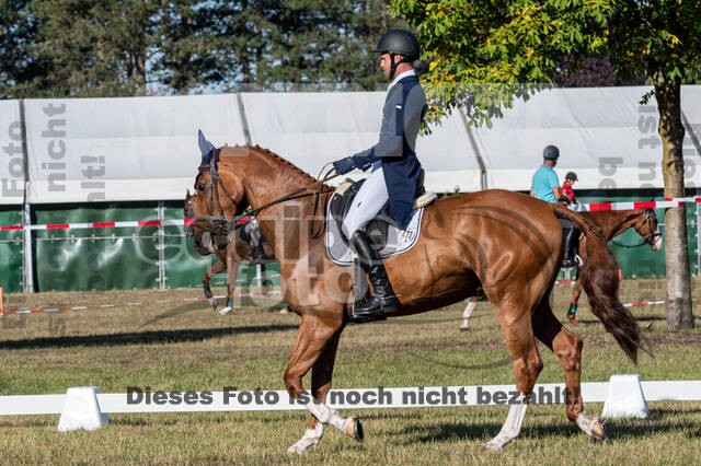 Kronenberg - De Peelbergen (August 2020)