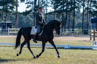 Kronenberg - De Peelbergen (August 2020)