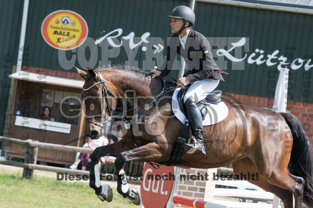 Vielseitigkeitsturnier ZRuFV von Lützow Hamminkeln
