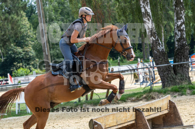 Hunter Geländetraining 10.07.2021 (Sonsbeck)