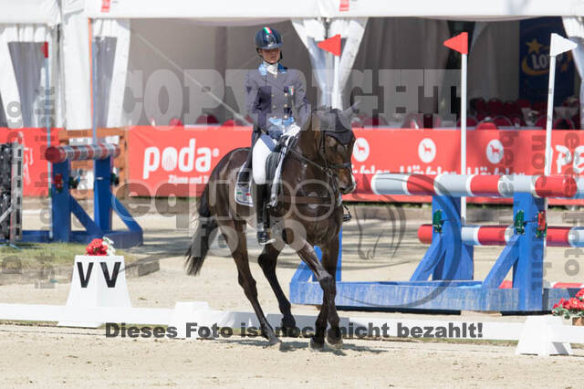 FEI European Championship