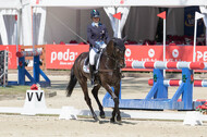 FEI European Championship