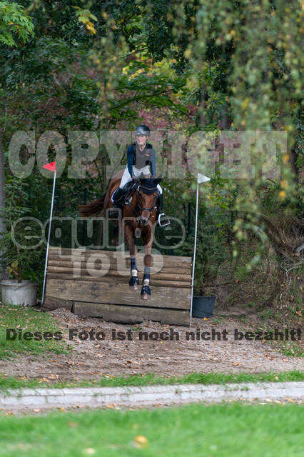 Goldene Schärpe 2020 - Pferde