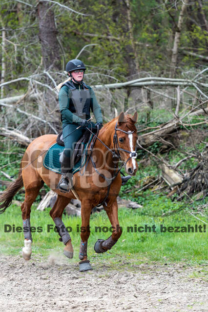 Geländetraining ZRFV Hamminkeln (24+25.04.2021)
