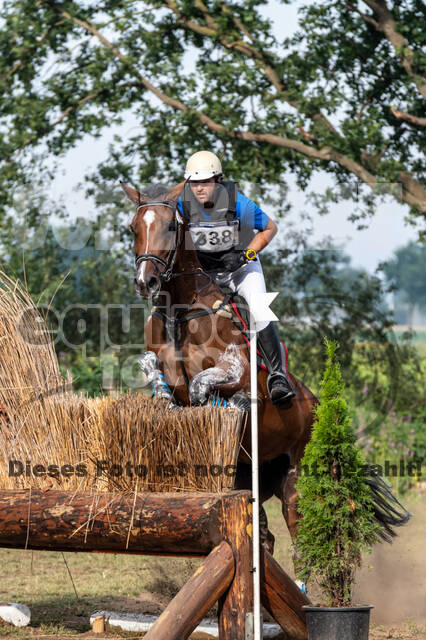 De Peelbergen (August 2020)