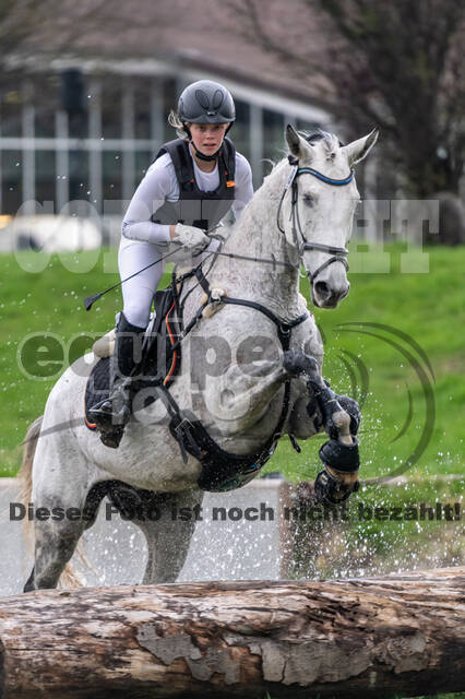 Goldene Schärpe 2020 - Pferde
