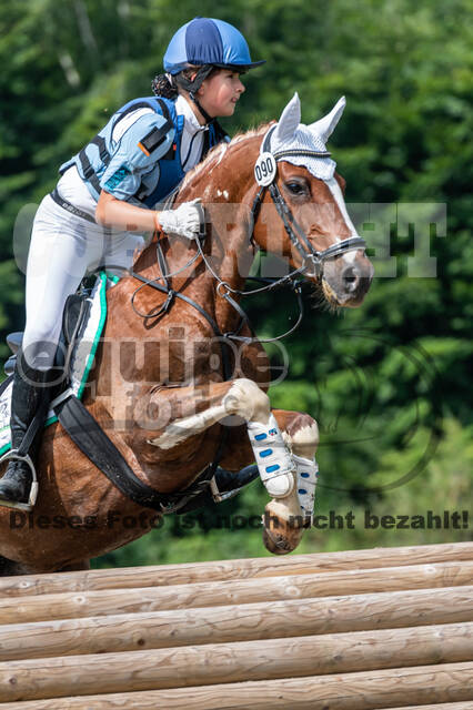 Goldene Schärpe 2021 - Ponys