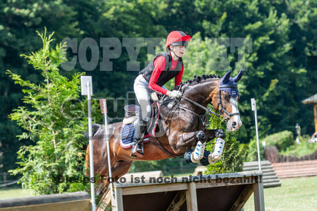 Goldene Schärpe 2021 - Ponys