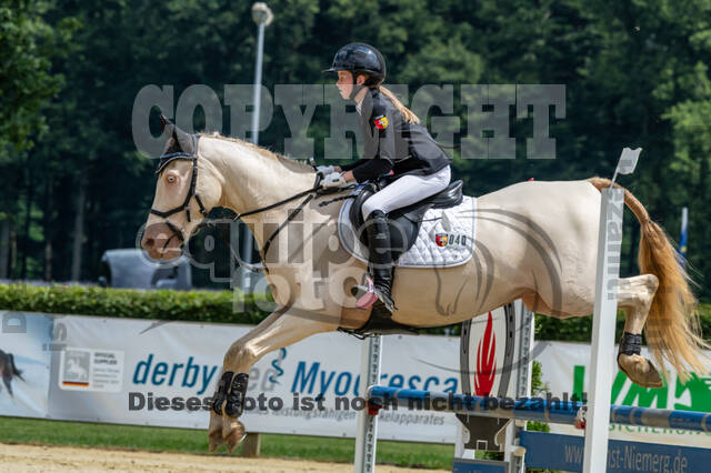 Goldene Schärpe 2021 - Ponys