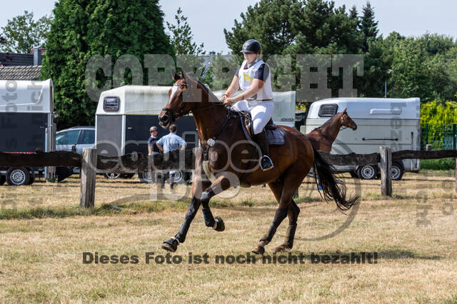 Late-Entry Vielseitigkeit Hamminkeln/Wesel (01.+02.08.2020)