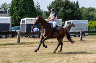 Late-Entry Vielseitigkeit Hamminkeln/Wesel (01.+02.08.2020)